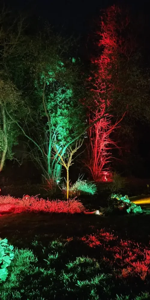 Garden Christmas Carols Event AV